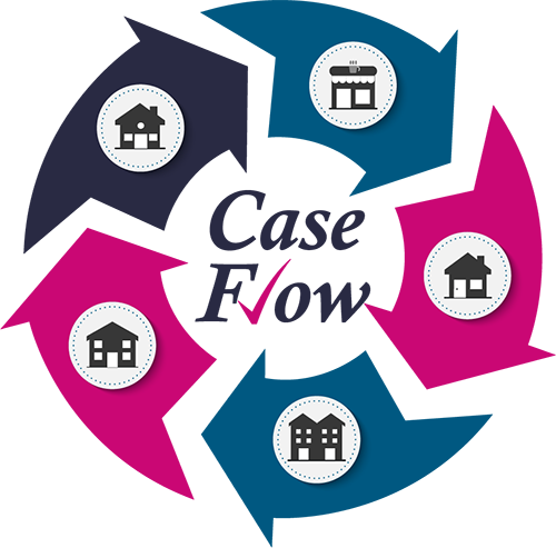 Case flow logo