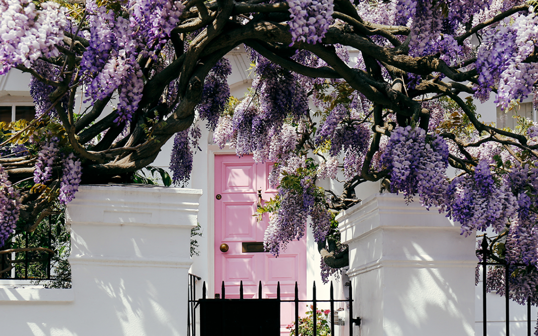 Spring into Action: Mortgage Solutions for a Booming Property Market