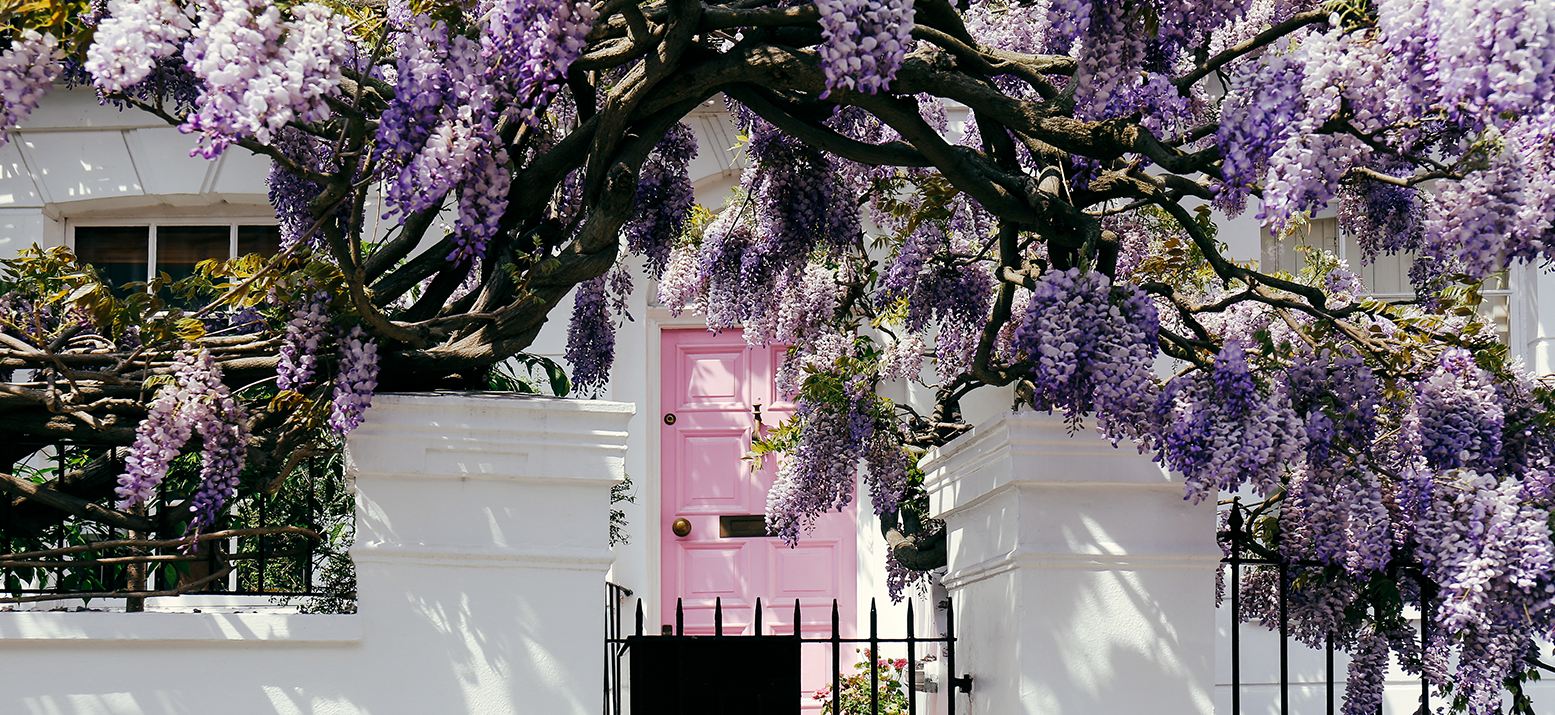 Spring into action Blog